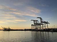 逆袭！Temu 超越 eBay，成美国第三大电商平台（跨境电商新闻资讯）