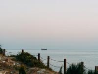 上海—上海到委内瑞拉—加拉加斯独立冷藏集装箱直达海运线