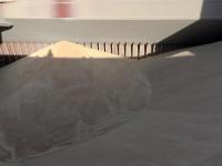 成都到美国巴吞鲁日(BatonRouge)冷藏船整舱运输直达海运线