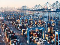 深圳市海棠物流有限公司相关概要