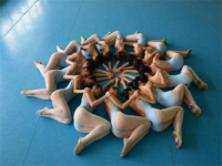 龙飞凤舞舞蹈艺考培训是山东知名的艺术培训机构