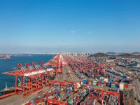 广东东莞到卡姆登多用途船运输保税海运专线