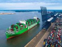 纽酷国际物流：选择FBA海运物流公司的五大理由