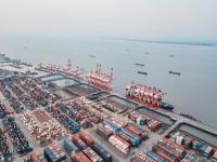 中国东莞到美国塔科马冷藏船整舱运输洲际定点航线