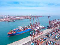 中国广东深圳到杰克逊维尔(Jacksonville)多用途船运输定制海运通道