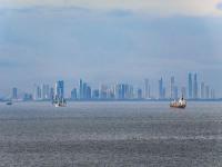 快递最新战报：顺丰增速领跑，申通再超韵达