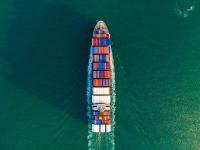 尼日利亚加强反恐行动 11名恐怖分子头目被击毙