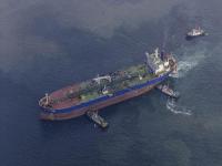 中国贸促会会长高燕出席第三届进博会配套活动“一带一路”沿线贸易洽谈会