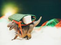 如何正确选择和使用中转港代码，避免运输错误