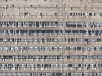 第25号台风“海鸥”生成