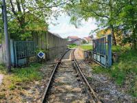 国际货运海运委托书