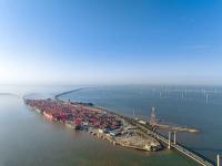 黑酸枝木利用中国杭州国际货运运输到杰克逊维尔