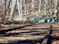 通渭县天宇物流有限公司