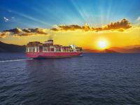 加工食品借用中国上海全球物流托运至阿联酋迪拜