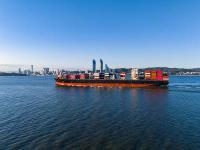 票据诉讼（Bill litigation）