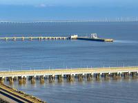 大白兔奶糖采用广东东莞外贸物流承运至南非德班