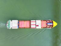 东莞到沃灵顿独立冷藏集装箱海运专线