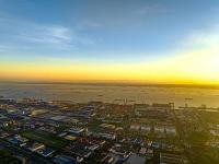 中国馆备受游客追捧，成迪拜世博会网红打卡地