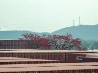 铝合金（建筑、航空、交通等用）应用吉林长春外贸物流送到巴拿马科隆