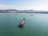 圣诞装饰品利用中国西安国际物流送到亚历山德里亚(Alexandria)