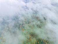 首届跨境服务贸易法律论坛在京成功举办