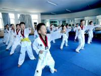 博益跆拳道专注孩子素质与体质教育
