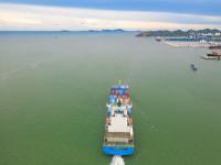 海派双清包税到门是什么意思