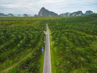 中山市鑫佳运物流有限公司