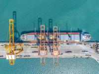 福建—莆田到加拿大-多伦多冷藏船整舱运输定制海运通道