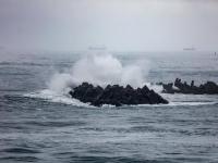 Bpost international Tracking