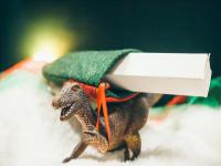 交通运输部：上周邮政快递累计揽收量约37.55亿件