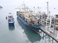 武汉市双仙物流有限公司有关参考资料