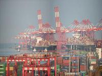 深圳市中沛国际物流有限公司