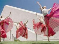 华翎戴斯尔舞蹈艺术交流中心-全国知名舞蹈连锁教学机构