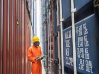 武汉九九阳光物流有限公司简要信息