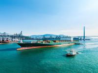 深圳市华弘佳宇国际物流有限公司