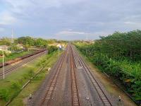 动物肠线制品成都国际货运送抵纽瓦克