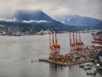 上海到美国莫德斯托冷藏船整舱运输保税海运专线