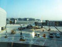 基于中国香港把海产品邮寄到新奥尔良