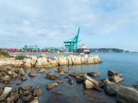 ONE最新业绩出炉，“市场或不会像预期强劲”