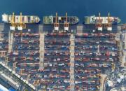 禁止入港！2900头牛下不了船...