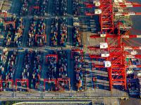 广东—江门到比利时-布鲁塞尔冷藏船整舱运输定制化海运通道