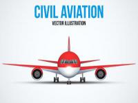 中港跨境年花.年桔.植物运输服务