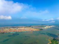 报告称2025年泰国大米出口总值将创4年来新低