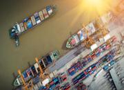 通过中国苏州把袋鼠蛋寄到美国新奥尔良