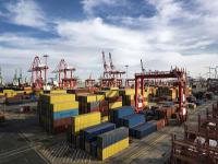 马铃薯通过中国上海环球货运准时送达荷兰鹿特丹