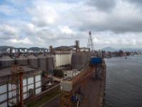 樟子松采取中国上海环球货运运到西班牙巴塞罗那