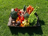 租赁江苏、 苏州、 张家港市2000m²仓储