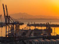 扁桃壳颗粒经过中国上海国际货运送到泰国林查班港