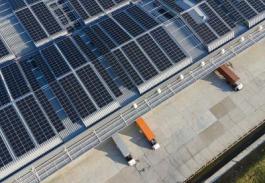 杂项食品运用中国广东深圳 全球物流派送至